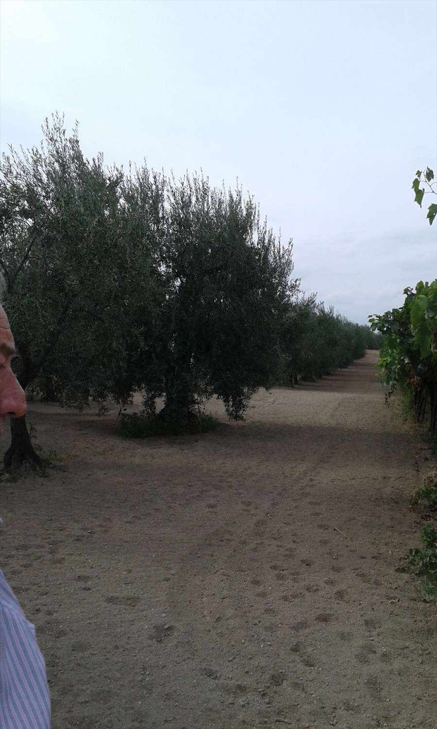  - foto 5