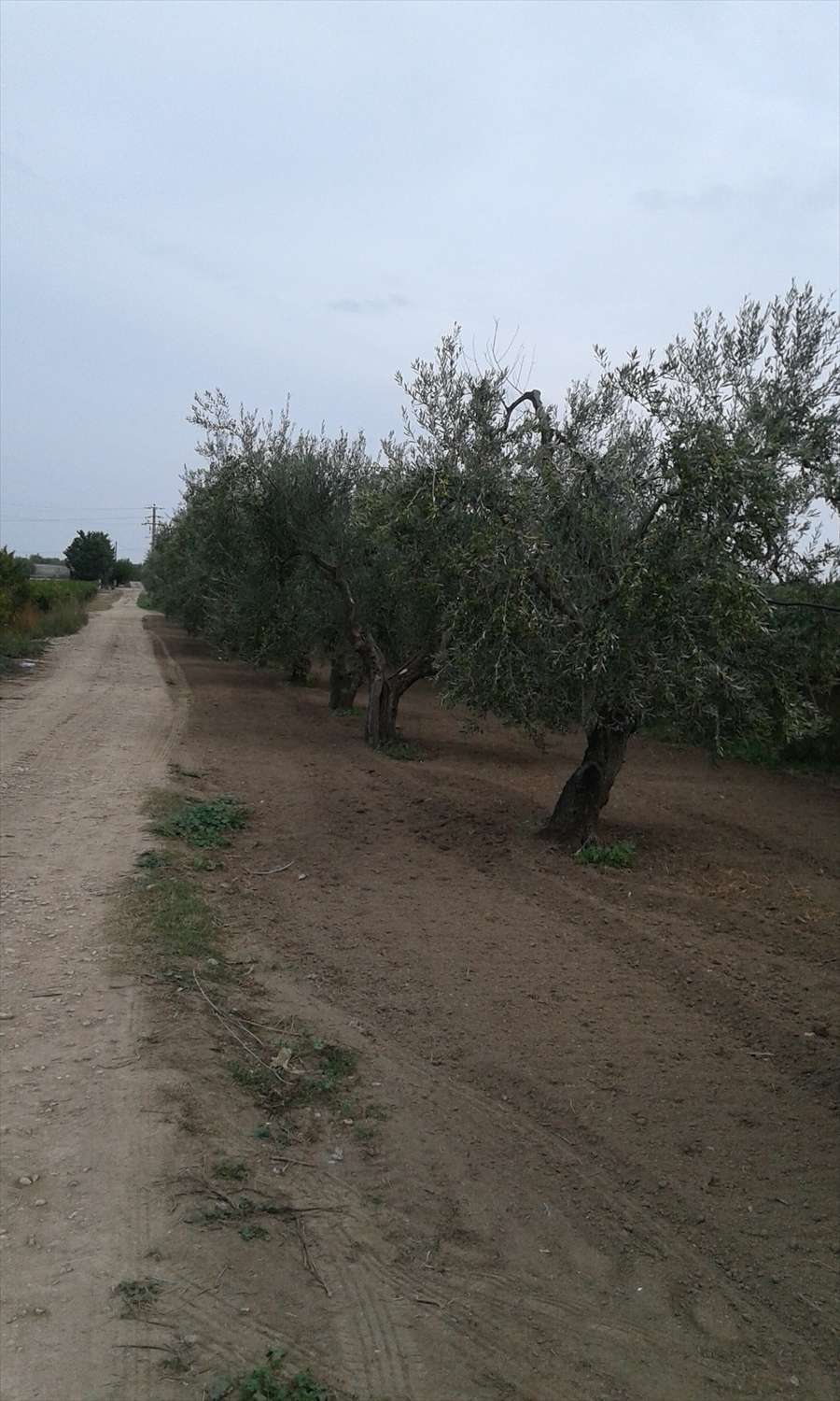  - foto 6