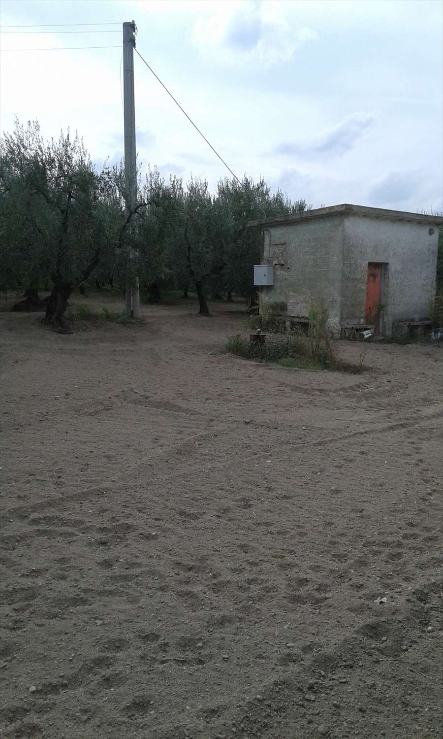  - foto 9