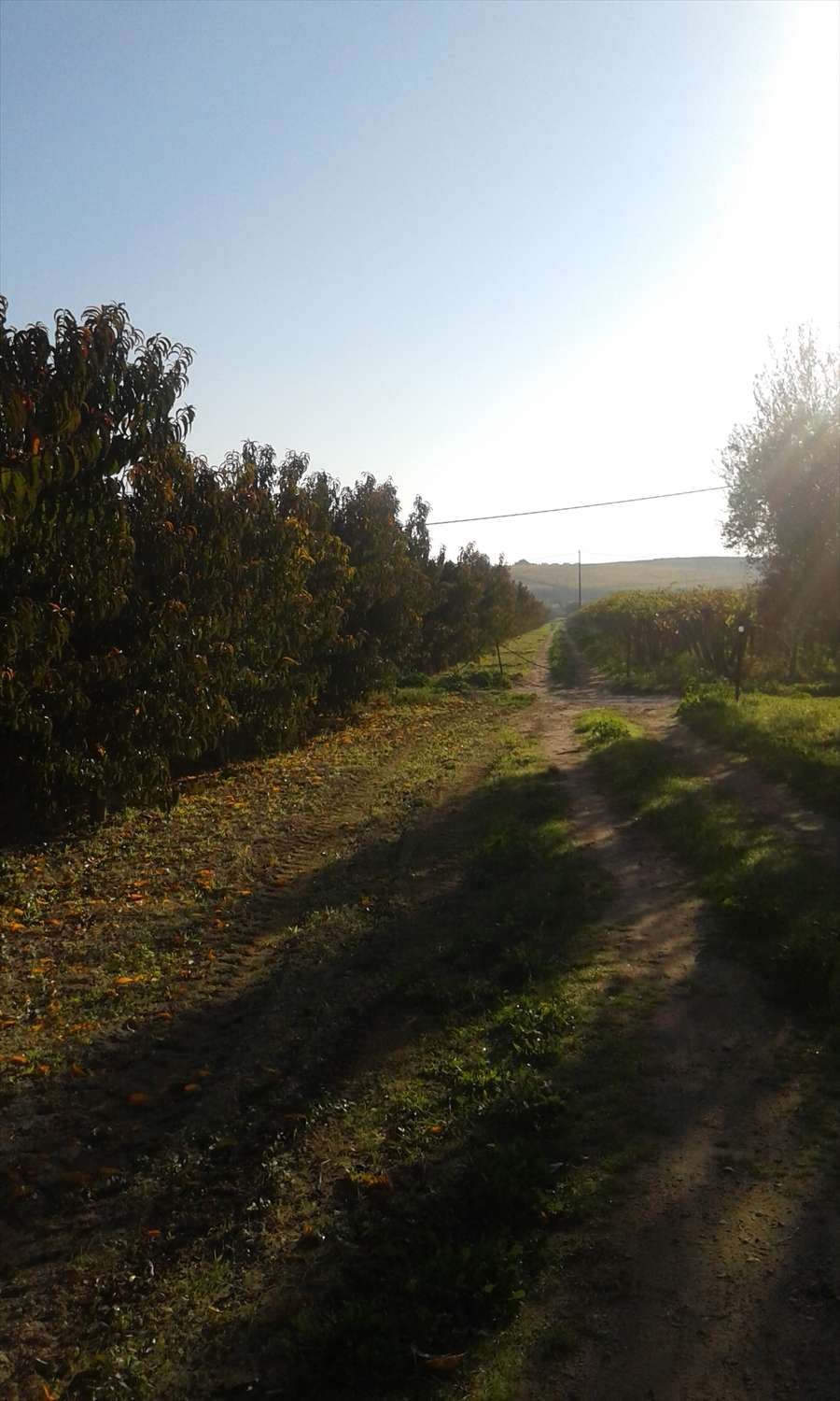  - foto 10