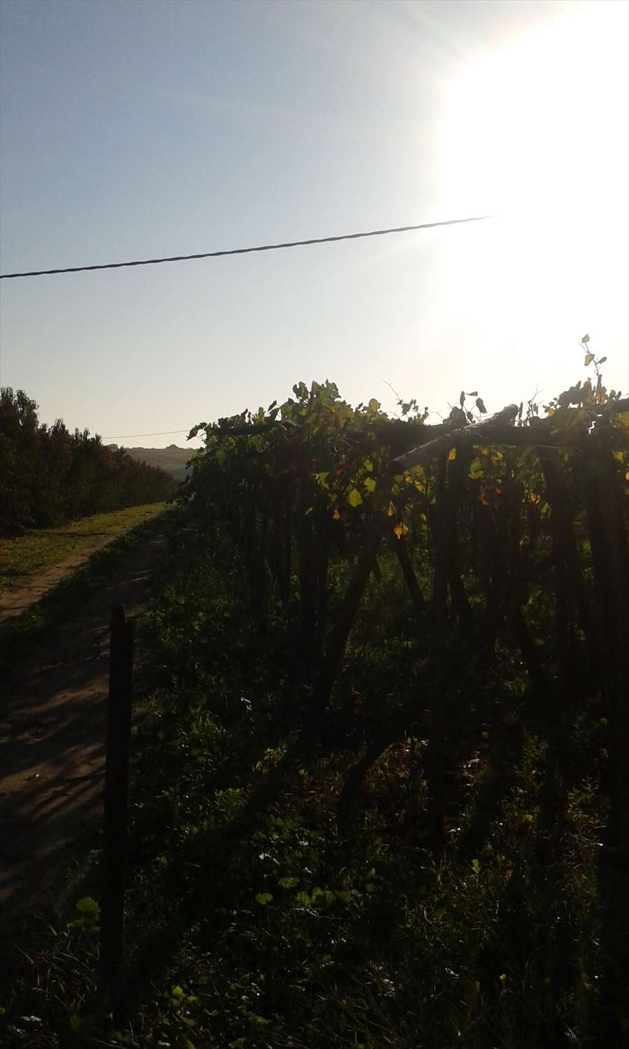  - foto 3