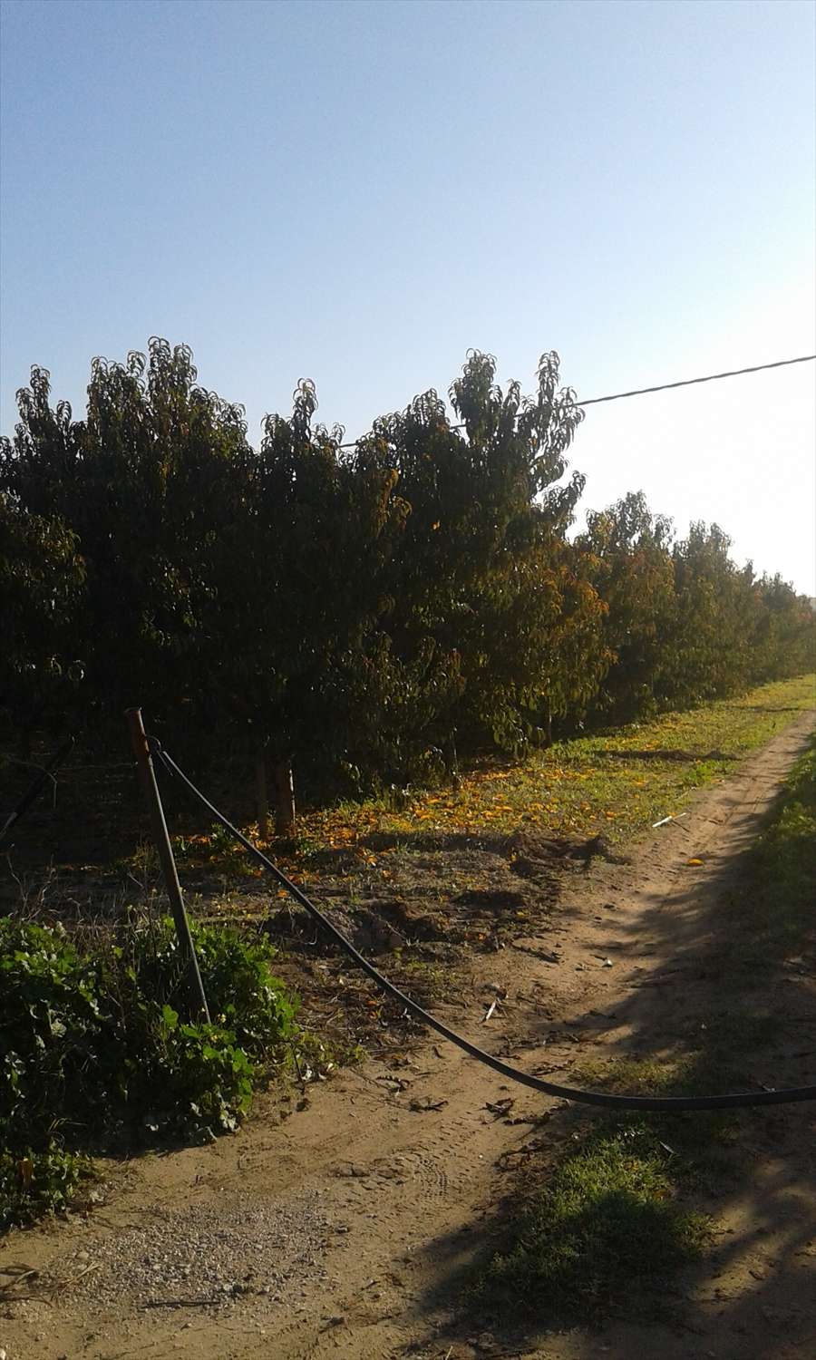  - foto 4