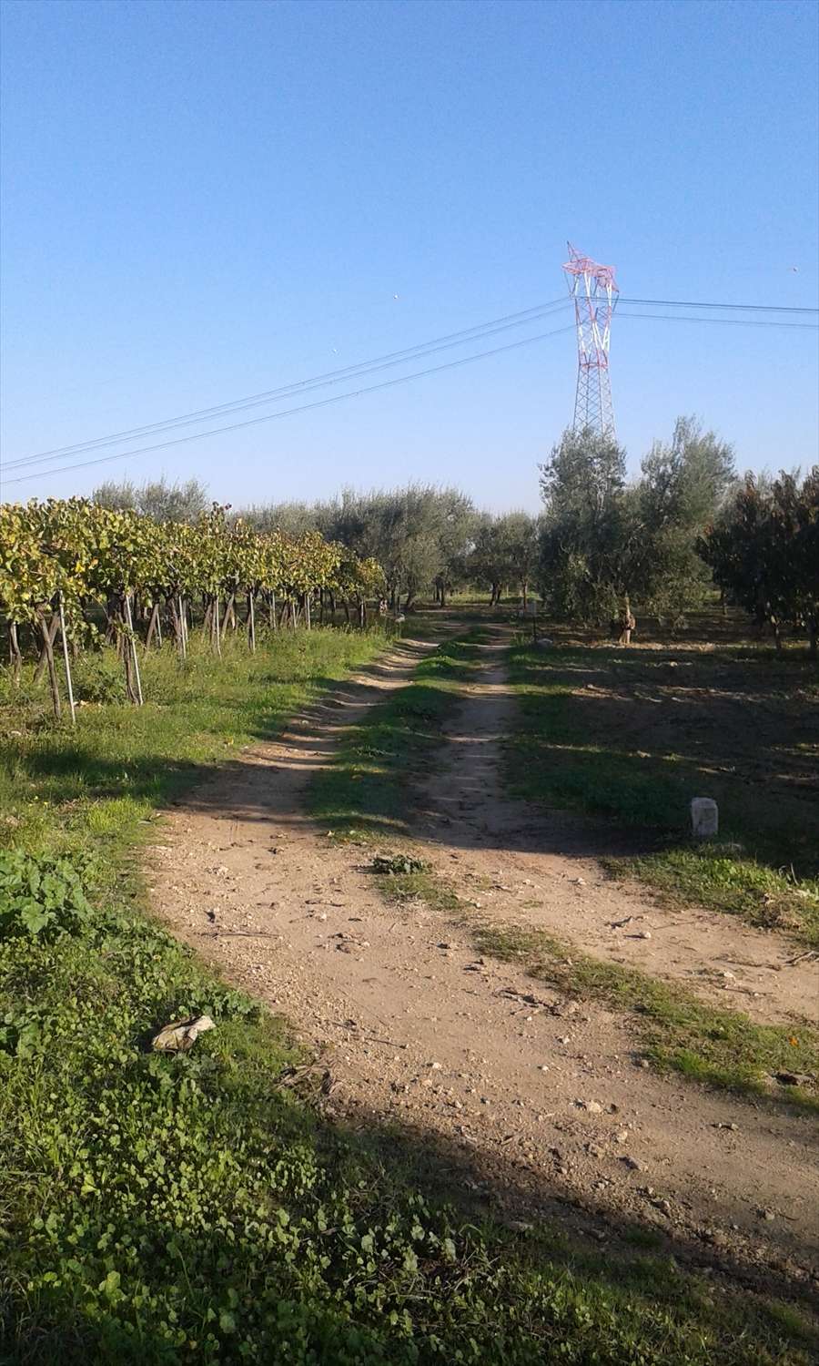  - foto 5