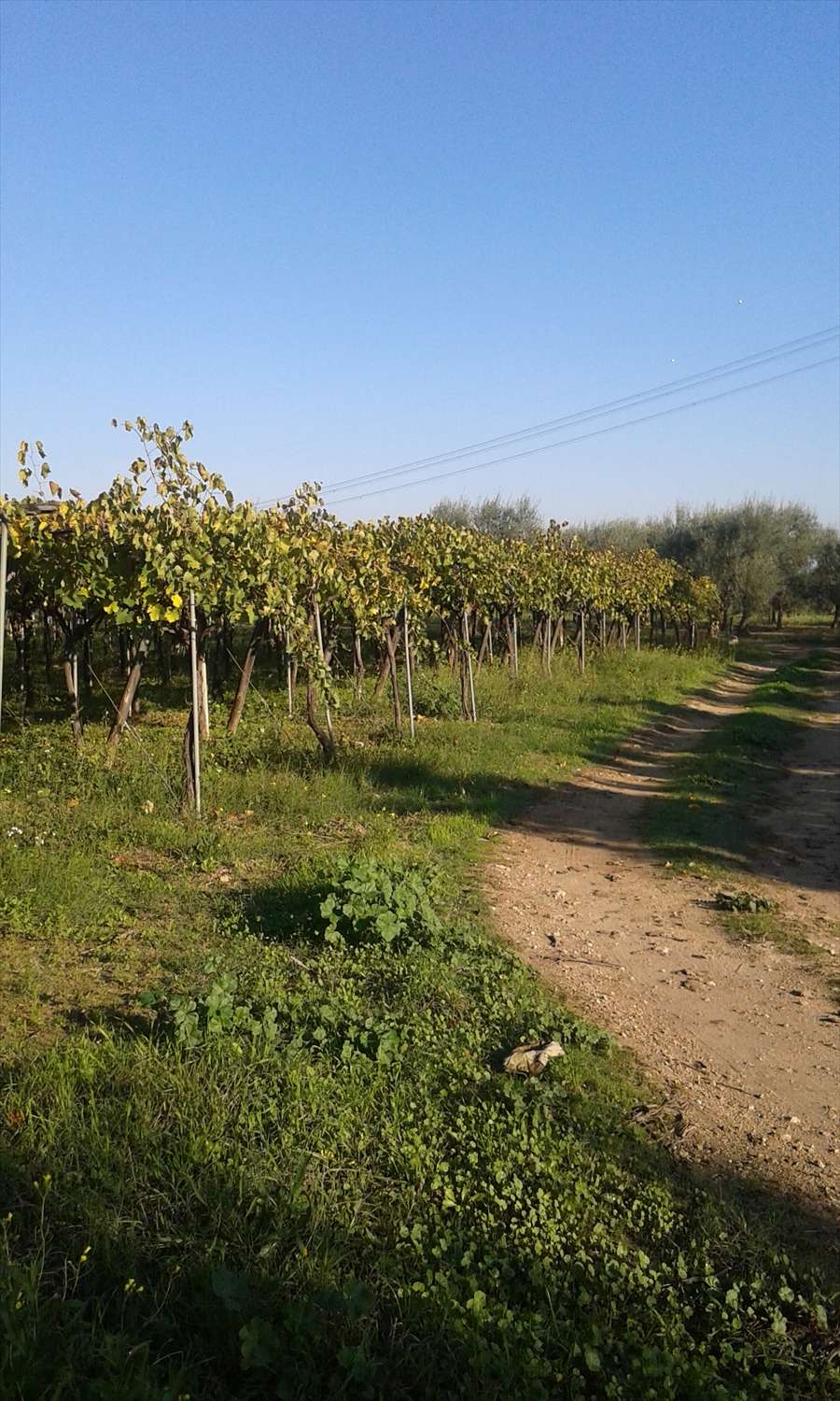  - foto 6