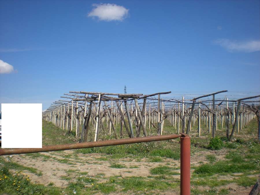  - foto 3