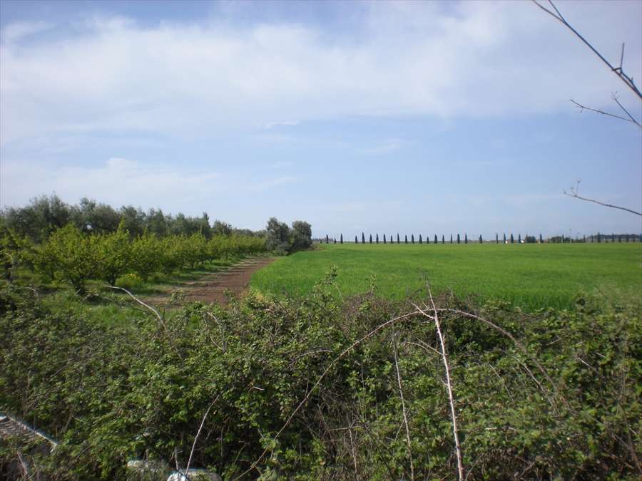  - foto 2
