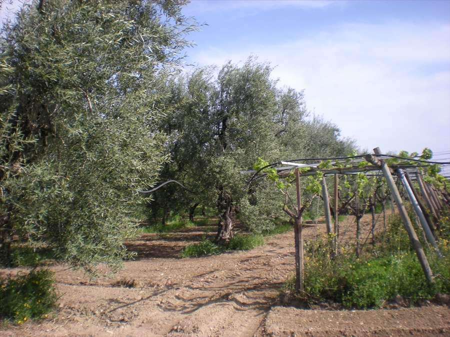  - foto 6