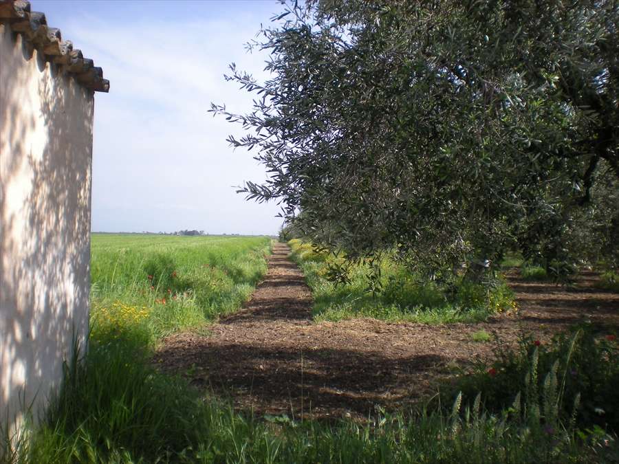  - foto 7