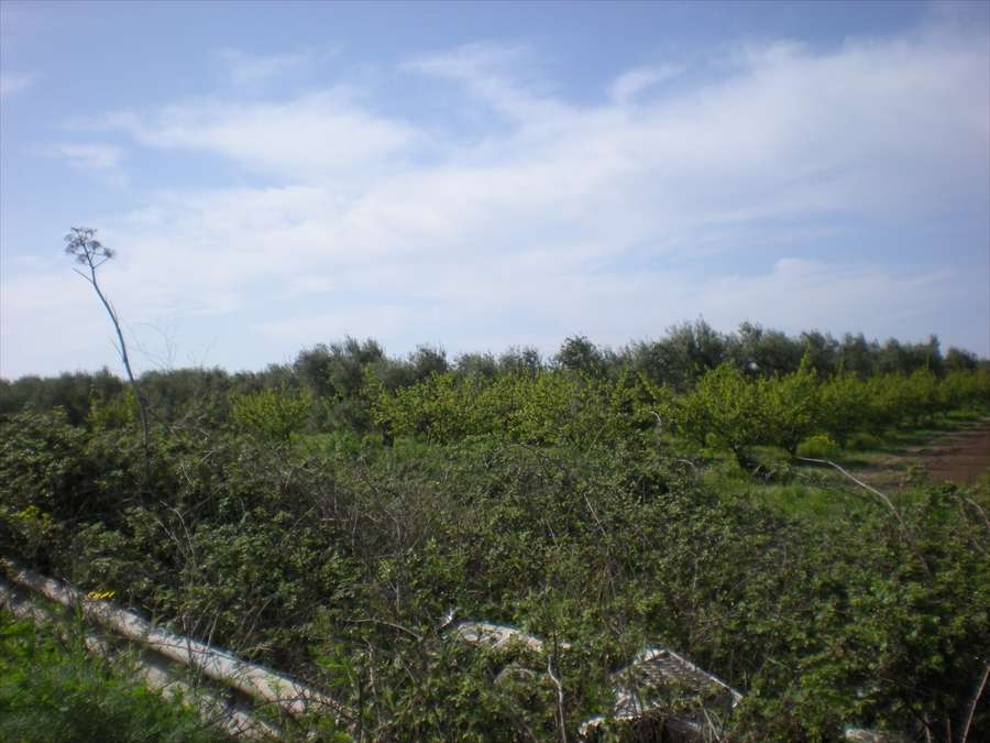  - foto 8