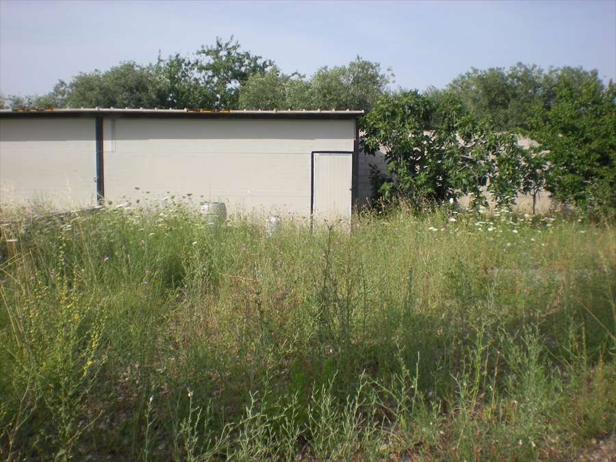  - foto 2