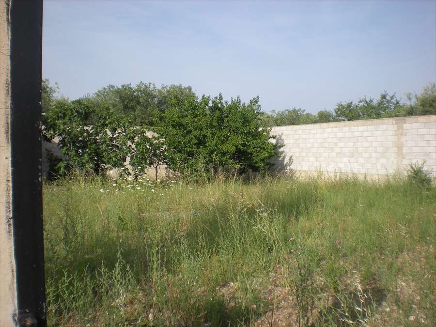  - foto 3