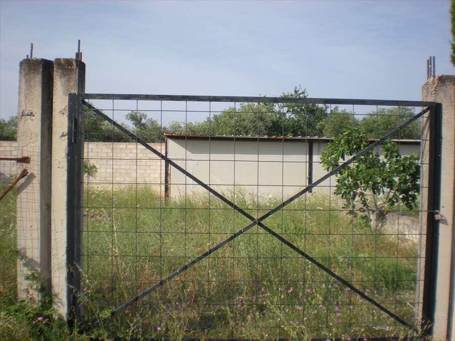 - foto 5