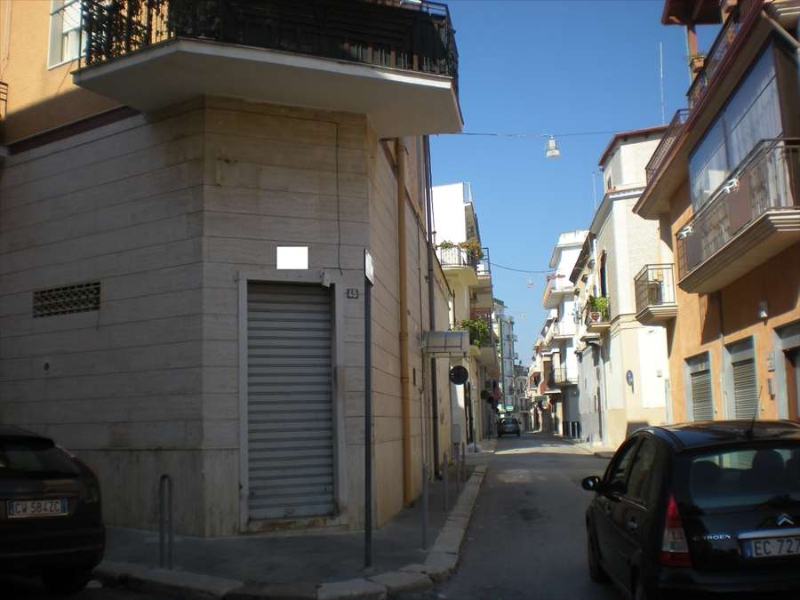  - foto 3