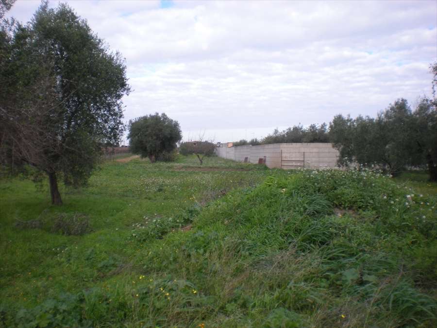  - foto 2