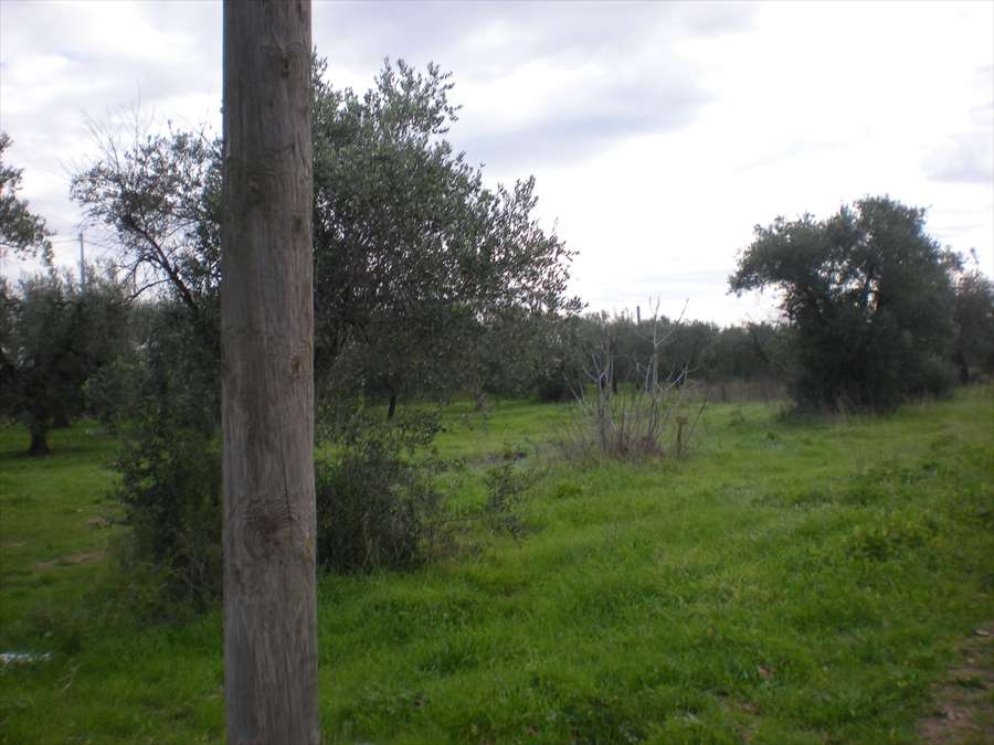  - foto 3