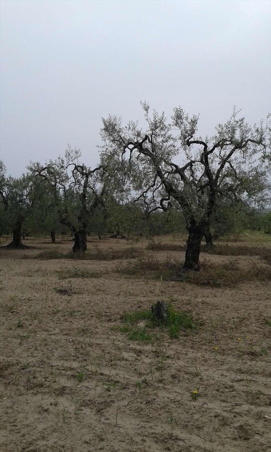  - foto 2