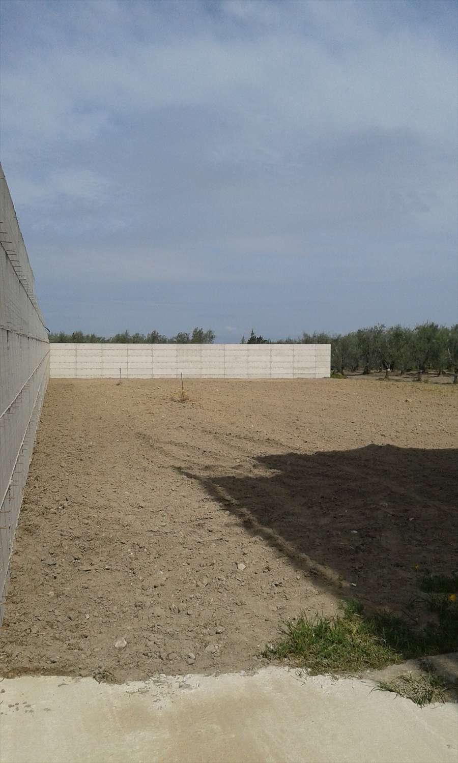 Terreno agricolo Zona " Ospedale", Cerignola