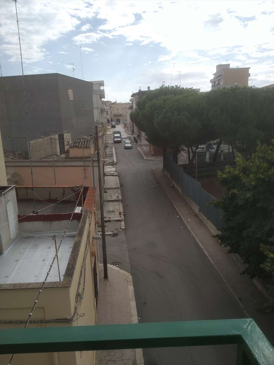  - foto 13