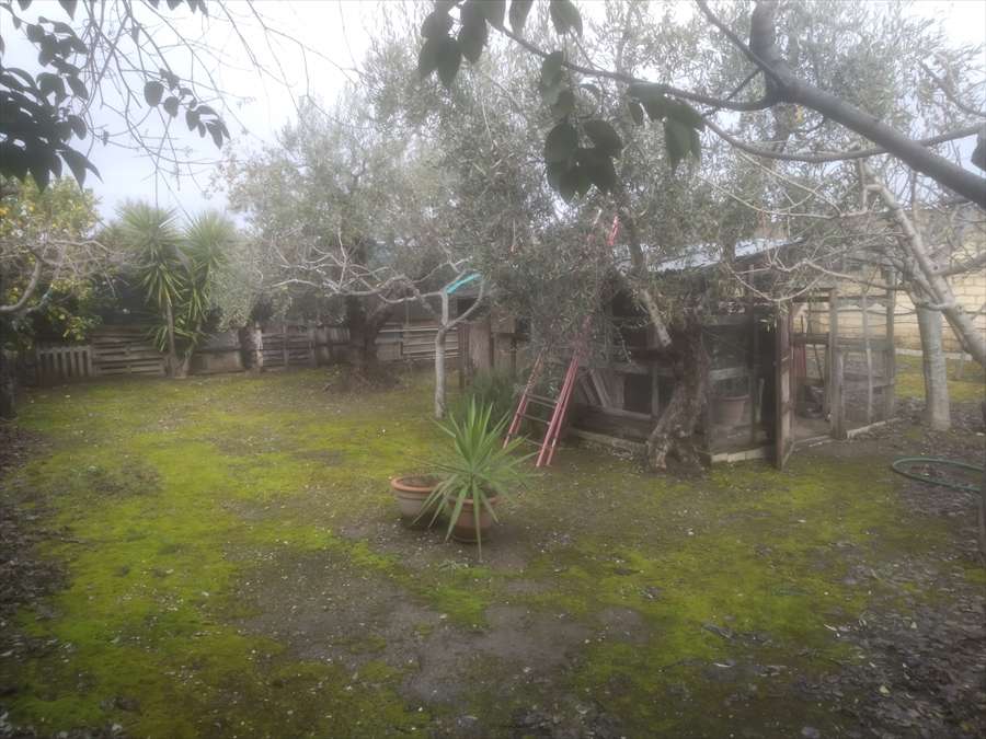 Terreno agricolo TORRE QUARTO, Cerignola