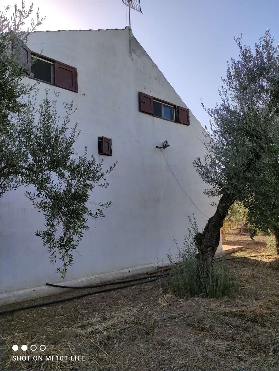  - foto 16