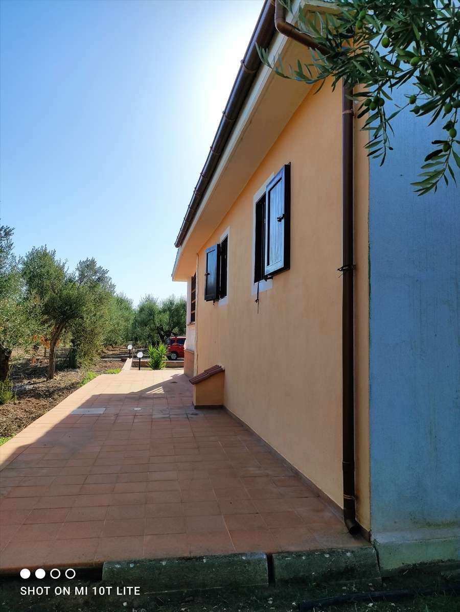 - foto 17