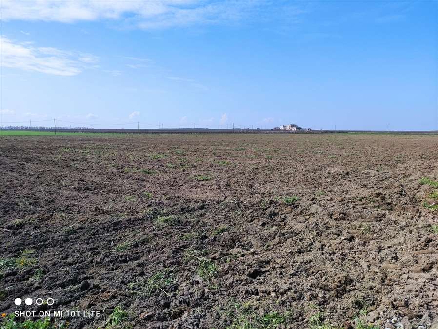 Terreno agricolo ZONA "CONTRADA IEMMA", Cerignola