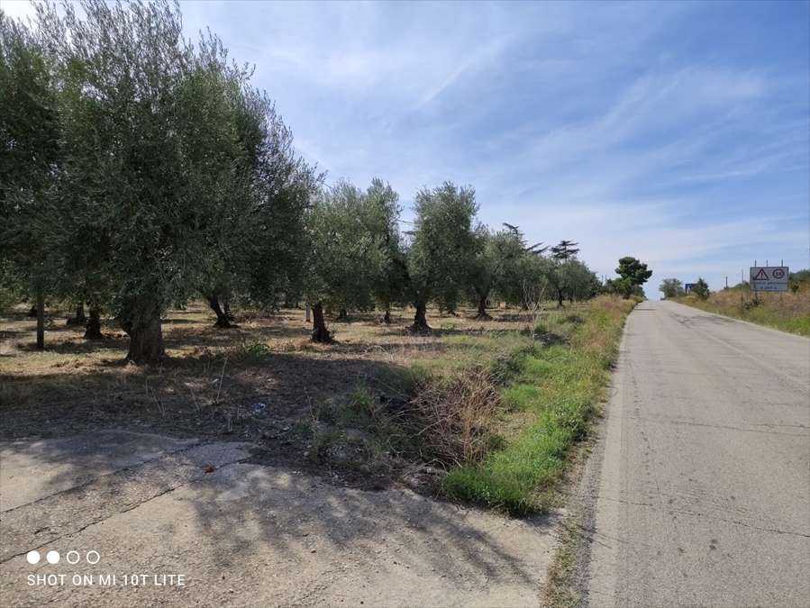 Terreno agricolo Strada Via Melfi, Cerignola