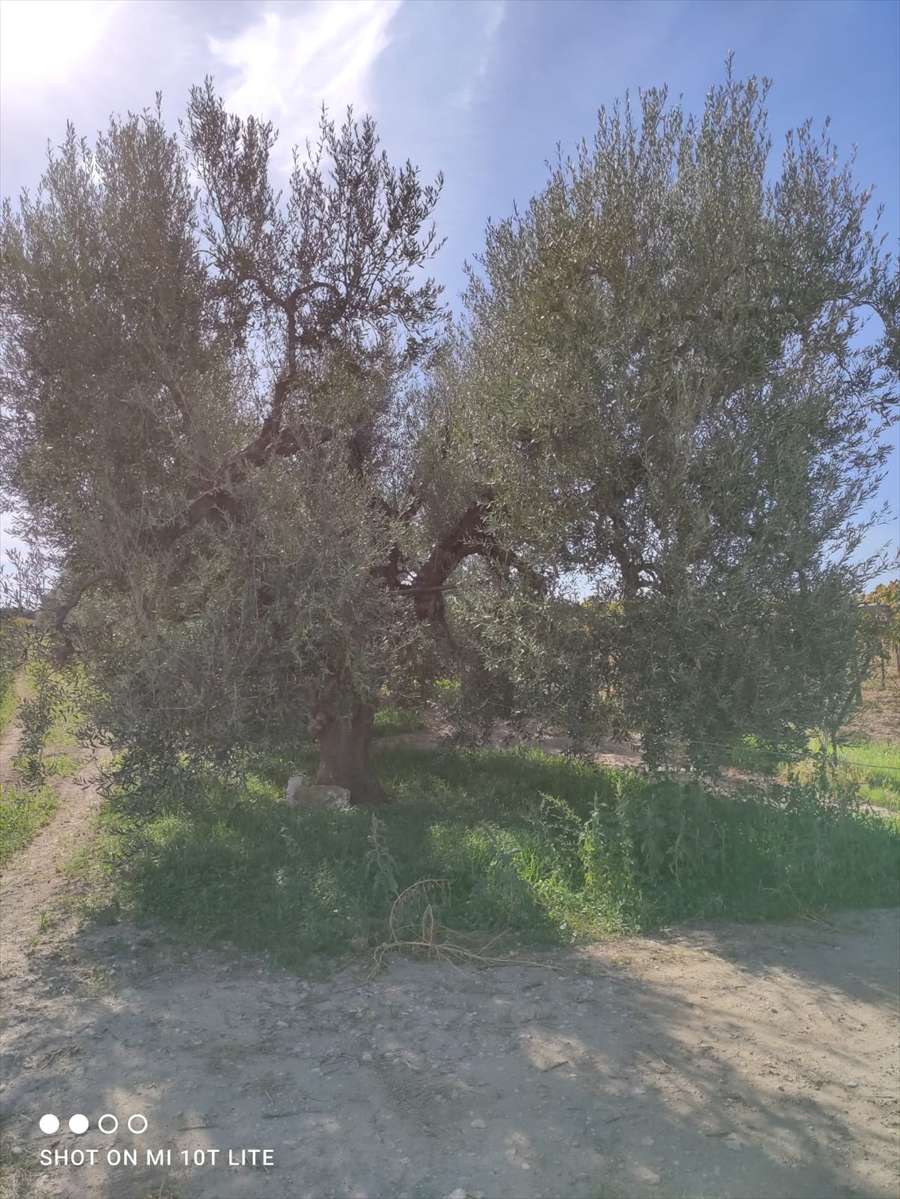  - foto 3
