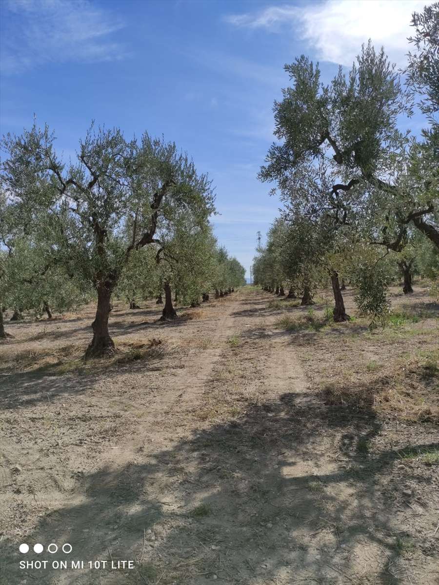  - foto 5