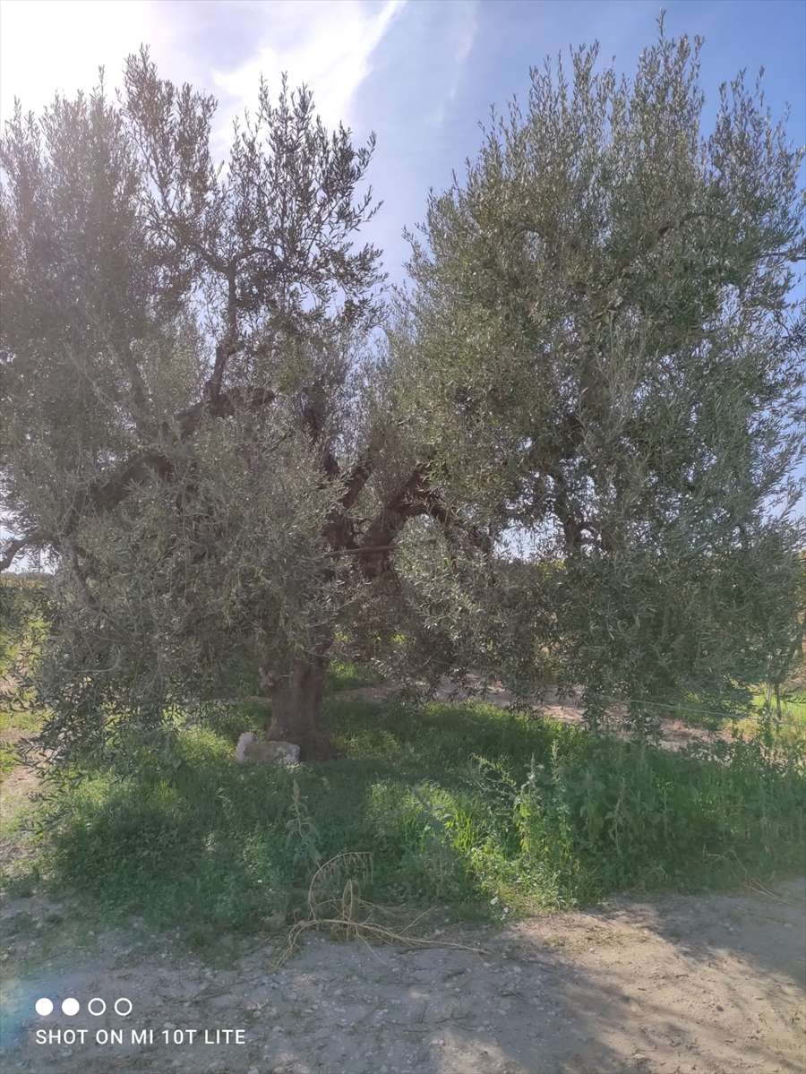  - foto 6