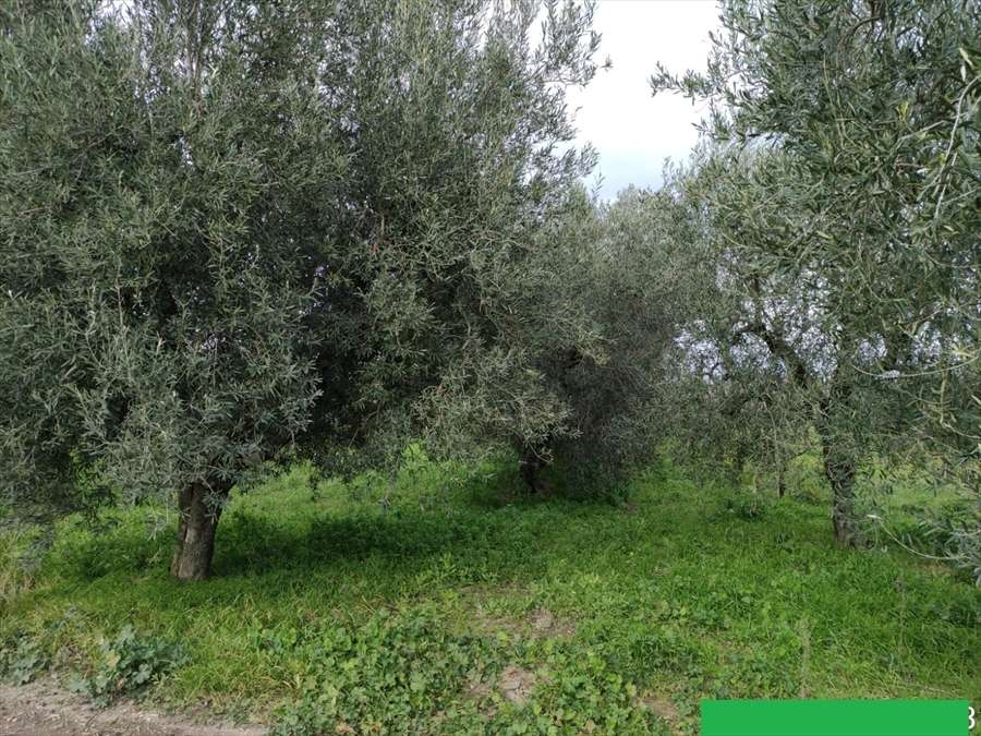  - foto 5