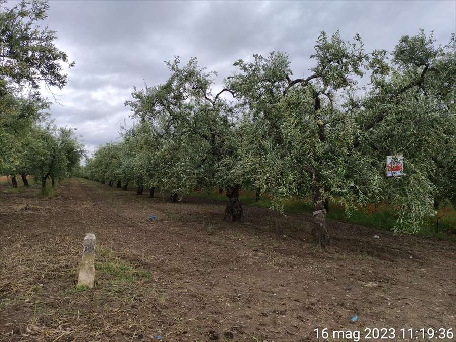  - foto 2