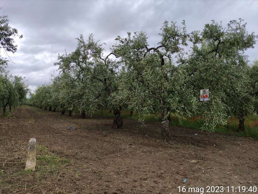  - foto 3