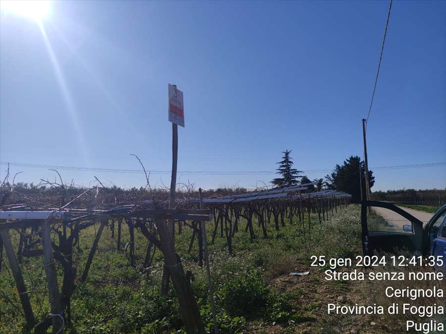 Terreno agricolo CONTRADA ACQUARULO, Cerignola