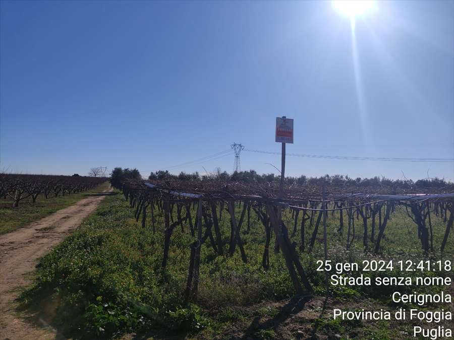  - foto 3