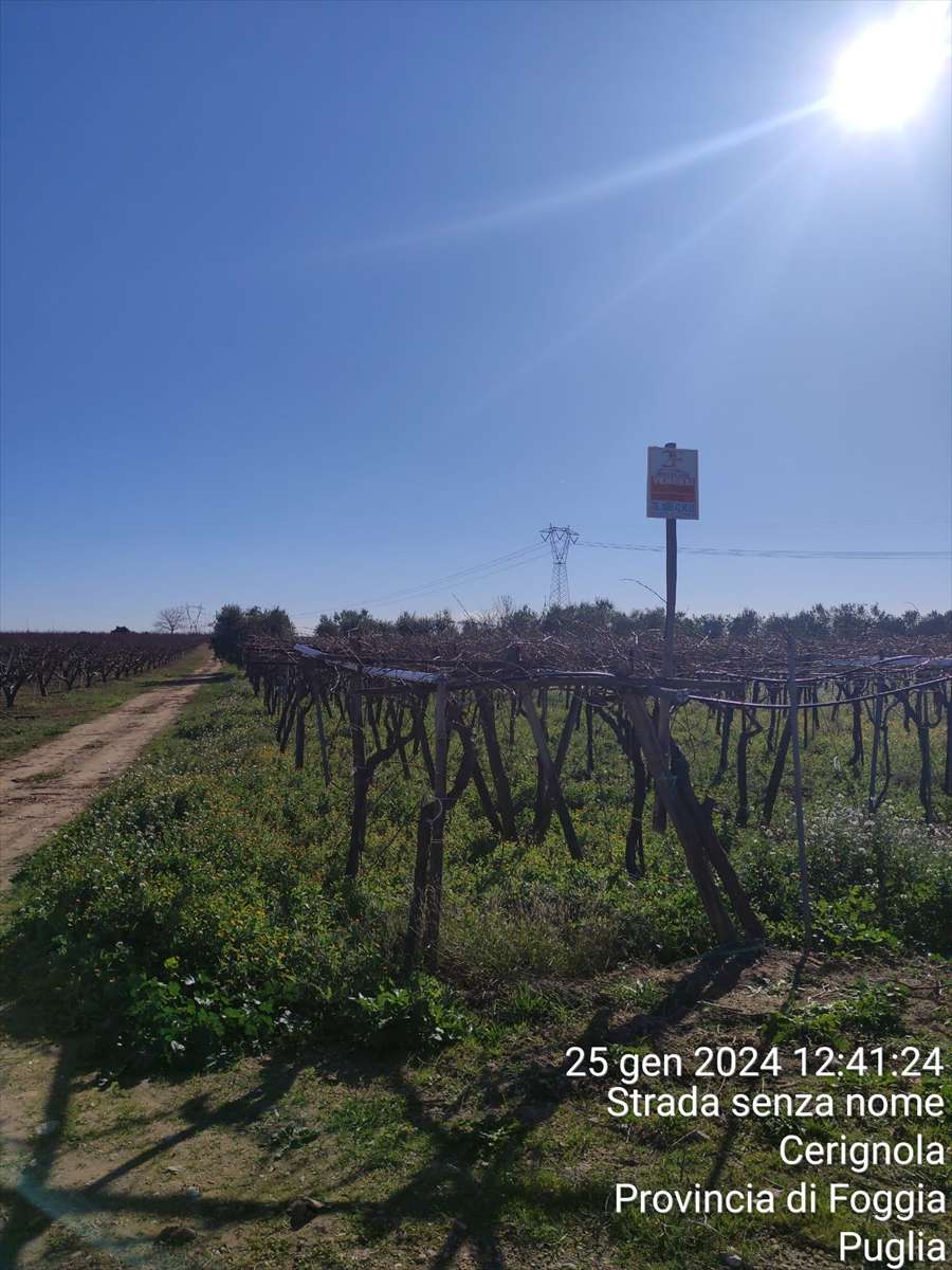  - foto 4