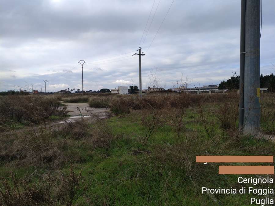 Terreno agricolo CONTRADA  FORNACI, Cerignola