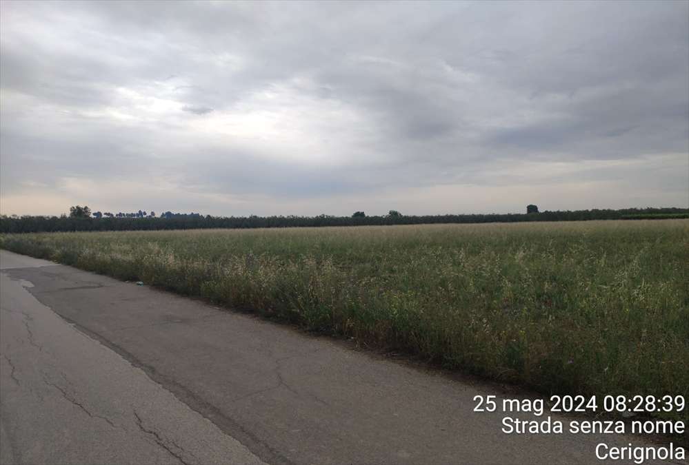 - foto 4