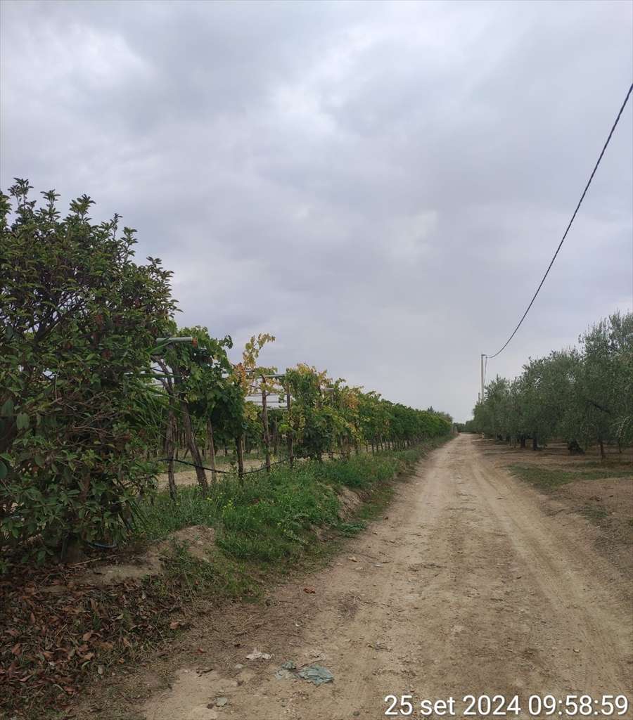  - foto 4
