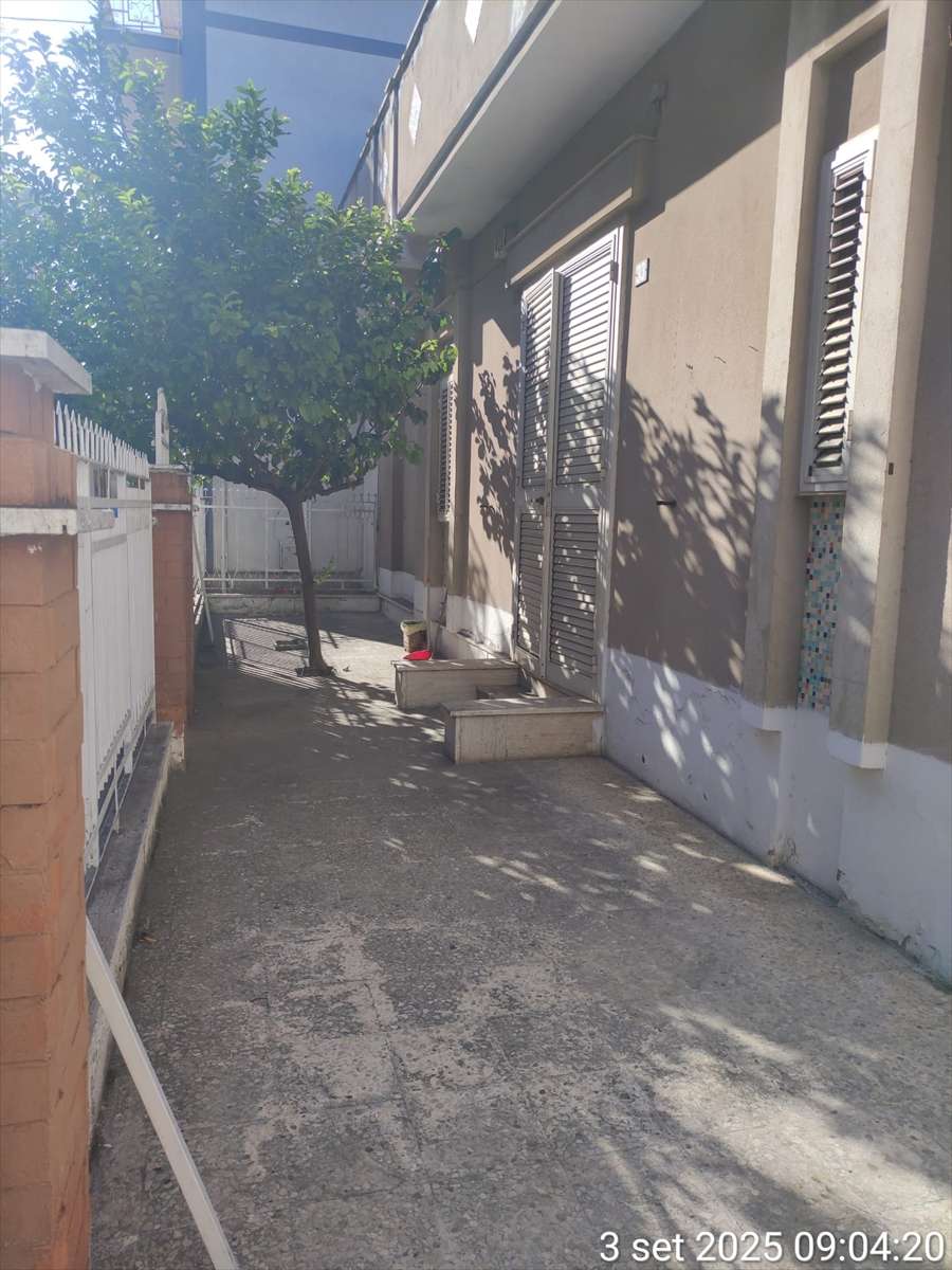  - foto 5