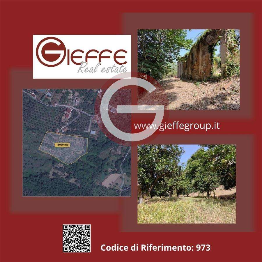 Terreno agricolo, San Giorgio Morgeto