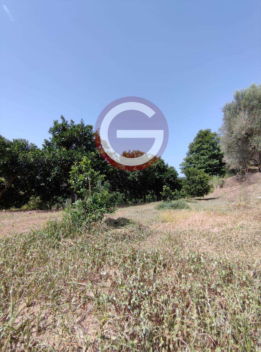  - foto 5