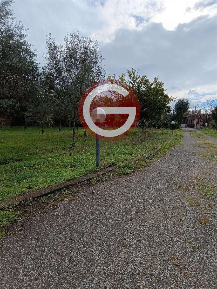  - foto 18