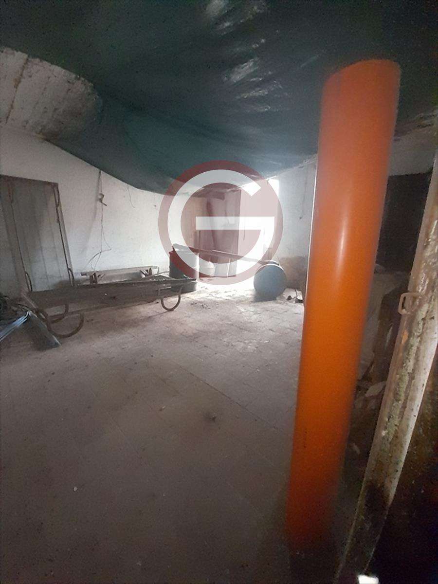  - foto 5