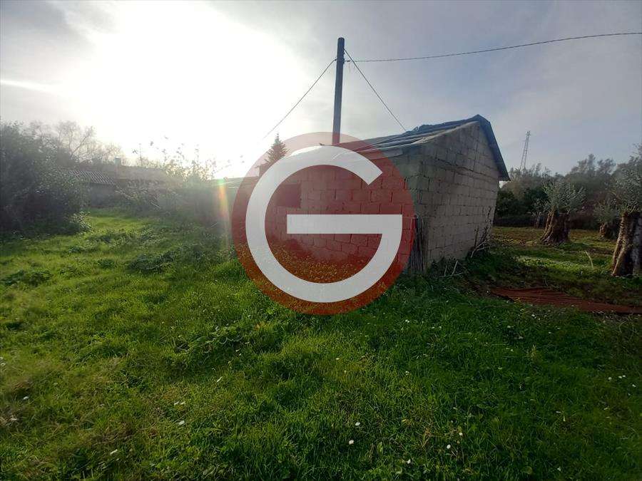  - foto 2