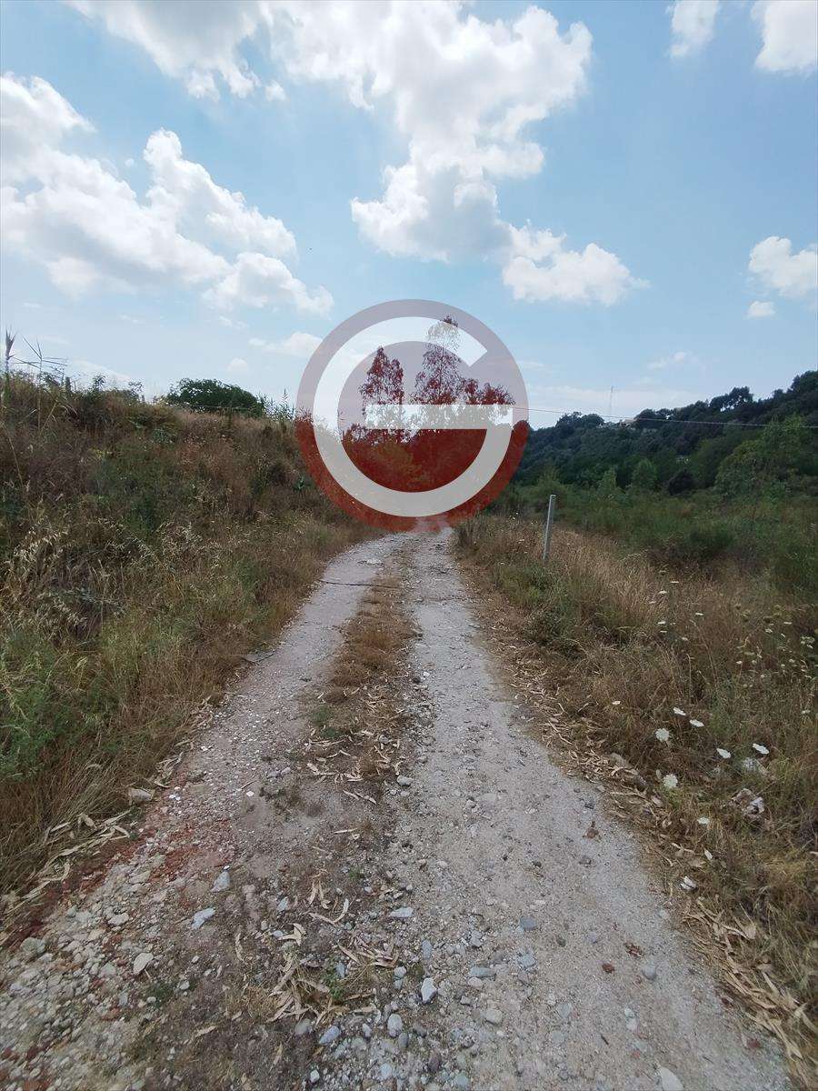  - foto 6