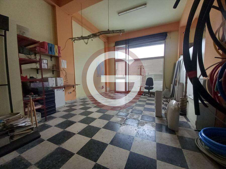  - foto 5