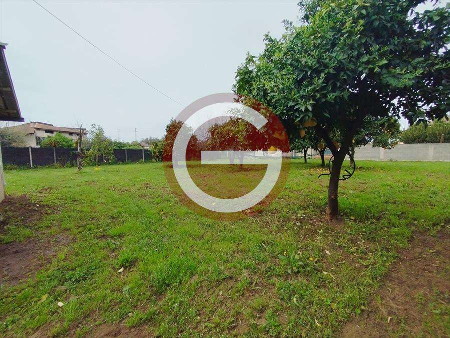  - foto 6