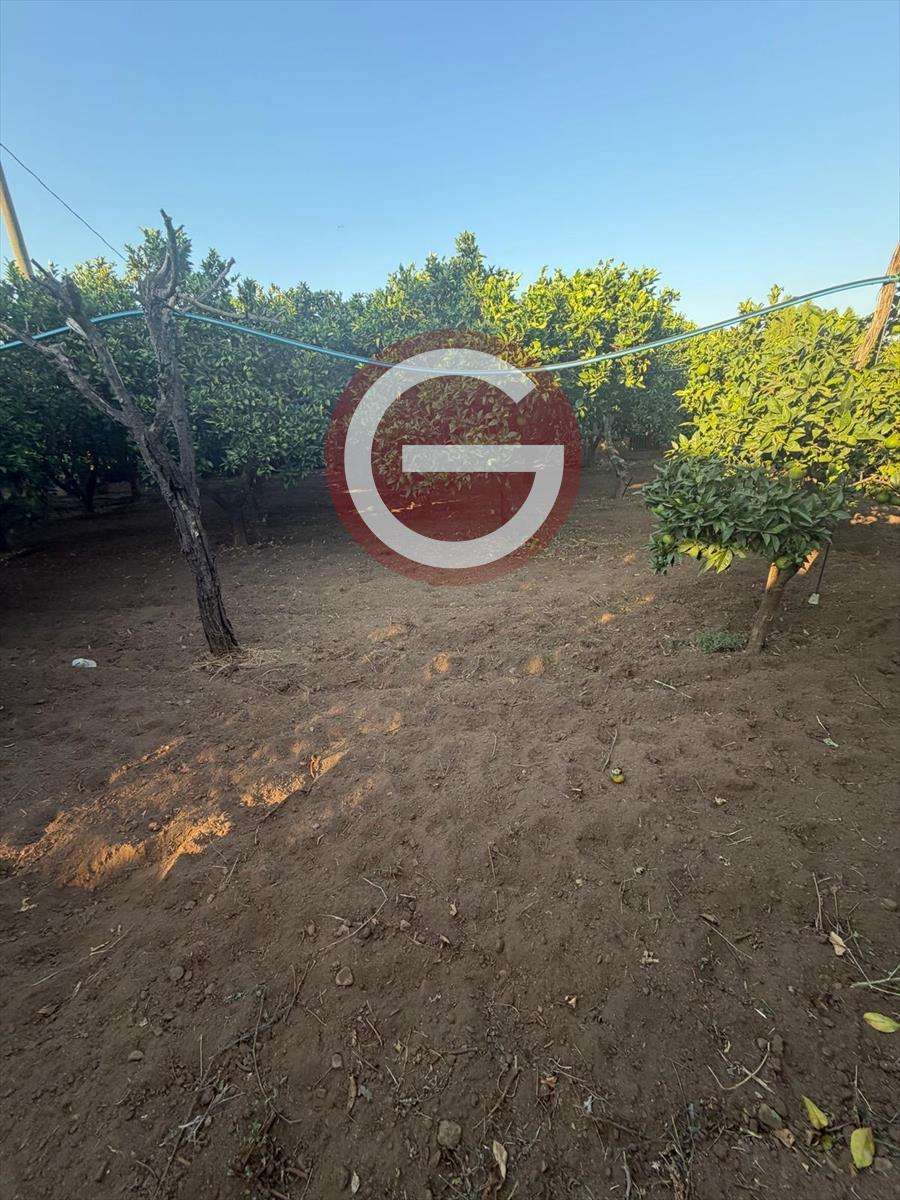  - foto 5