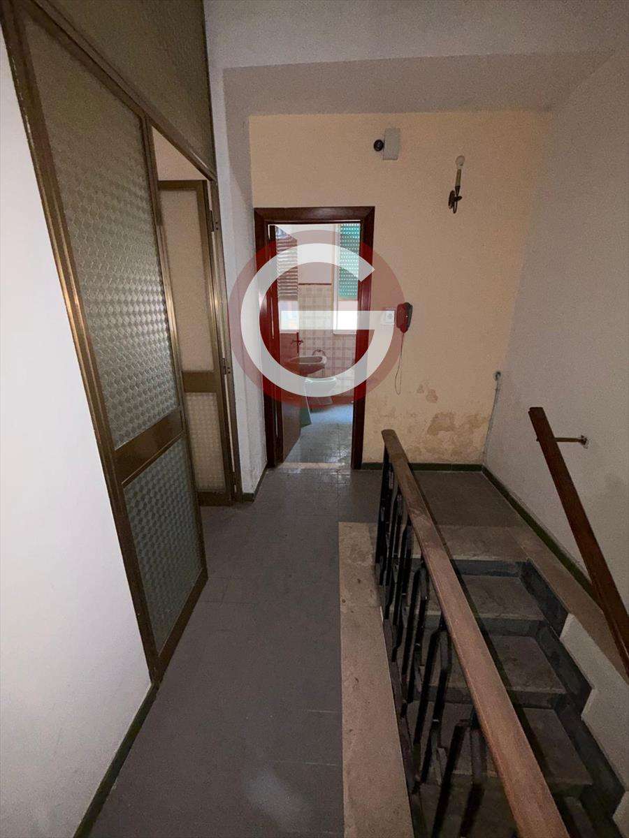  - foto 13